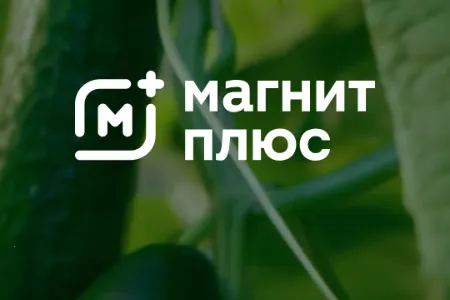 Magnit�̳�2026�ٷ����°汾