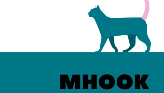 mHook������