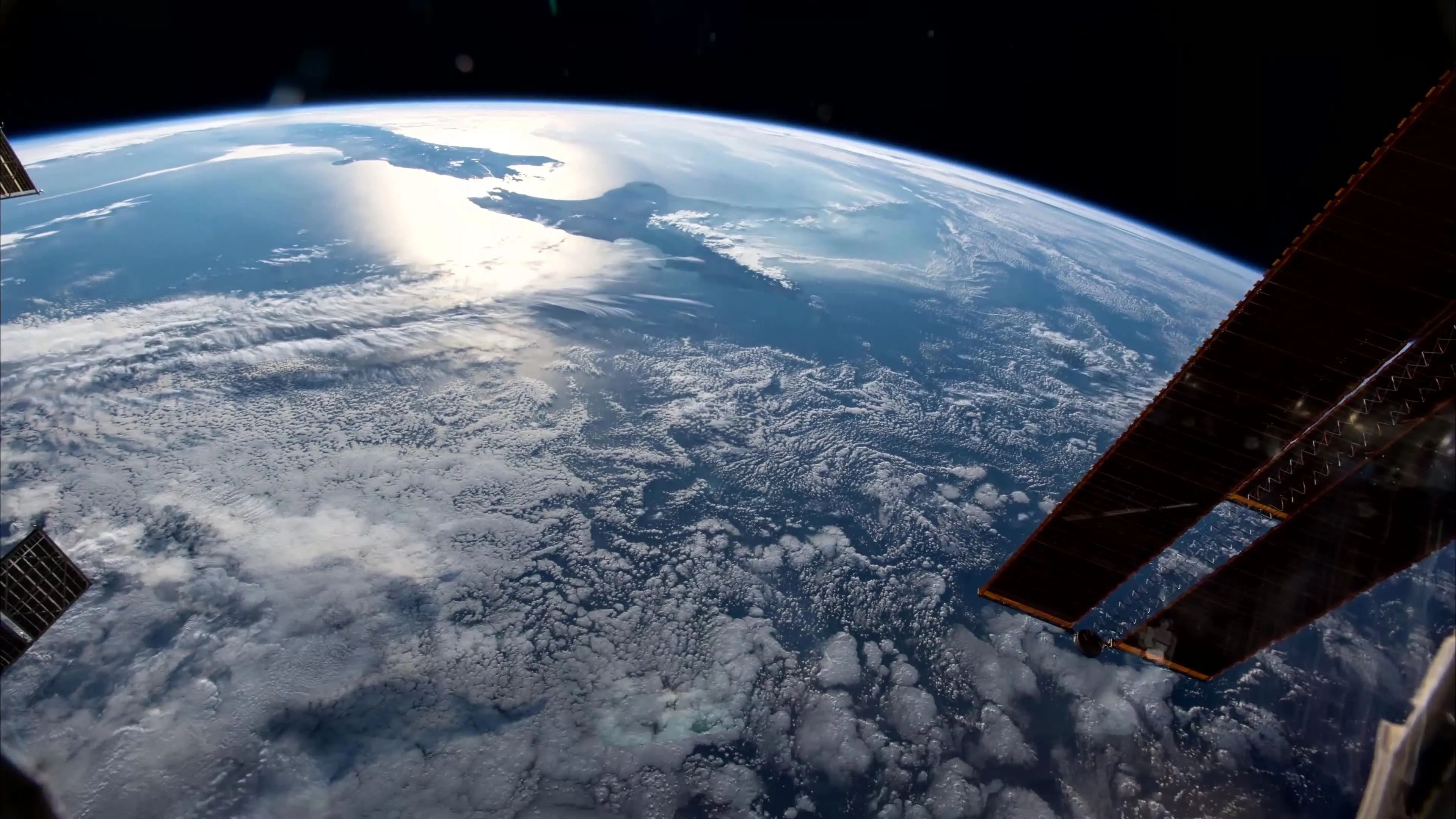 Ƥ��������ֽ