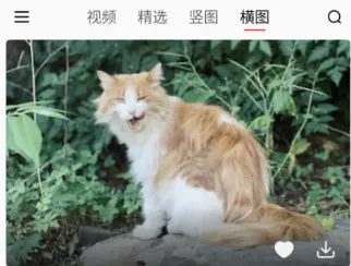 汽水壁纸2026官方最新版本 汽水壁纸2026官方最新版本