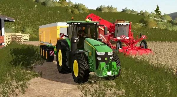 ģ��ũ��20�й�����