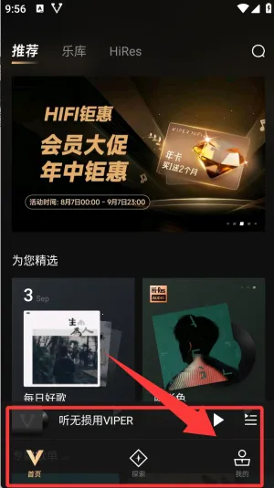 VIPER HiFi VIPER HiFi