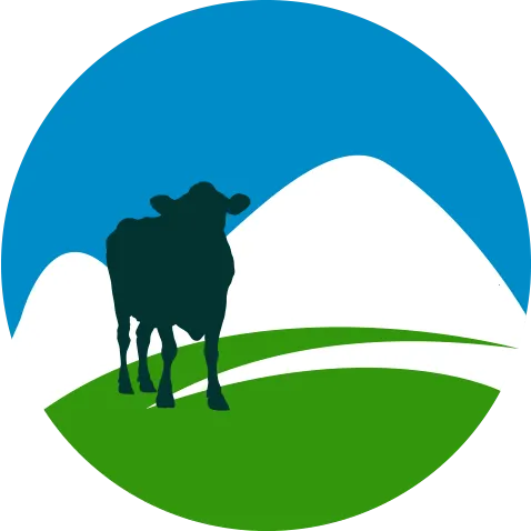 ��������ͨ2026���°汾v1.1 ��Ѱ�