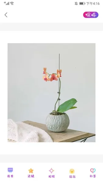 promovie�����׿���ֻ���