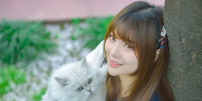 Dots�罻2026���°汾