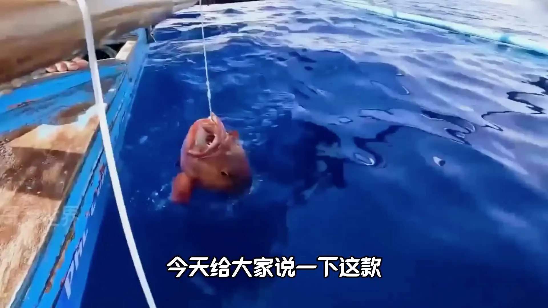 �����ʦ��2026���°汾v1.0 ��Ѱ�