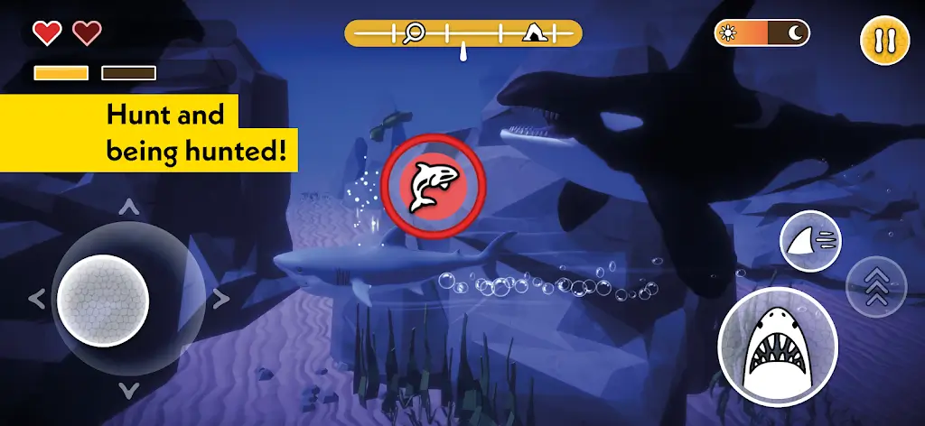 ������������v1.0.0 �ֻ���