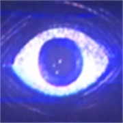 ���ȵ���Ϸʱ��ڶ��¸����˵�2026���ذ�װv1.42 �ٷ�����