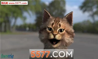 FaceRig Prov84 ��׿��