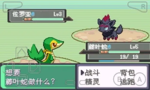 �ڴ�������ڵ���Ӱex bw����v5.0 �ٷ�����