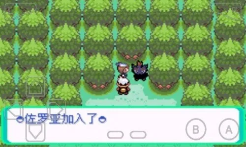 �ڴ�������ڵ���Ӱex bw����