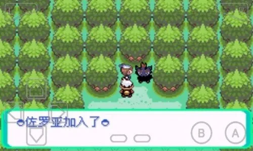 �ڴ�������ڵ���Ӱex bw����v5.0 �ٷ�����