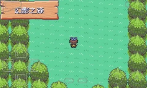 �ڴ�������ڵ���Ӱex bw����v5.0 �ٷ�����