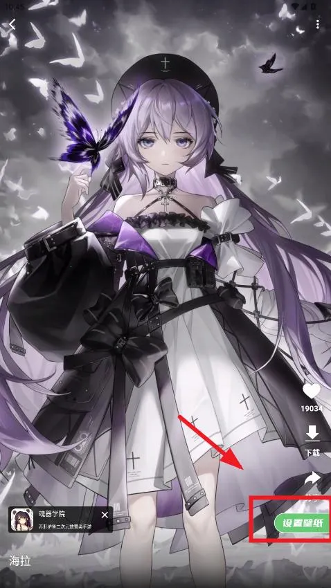 �����ֽ2026���°汾