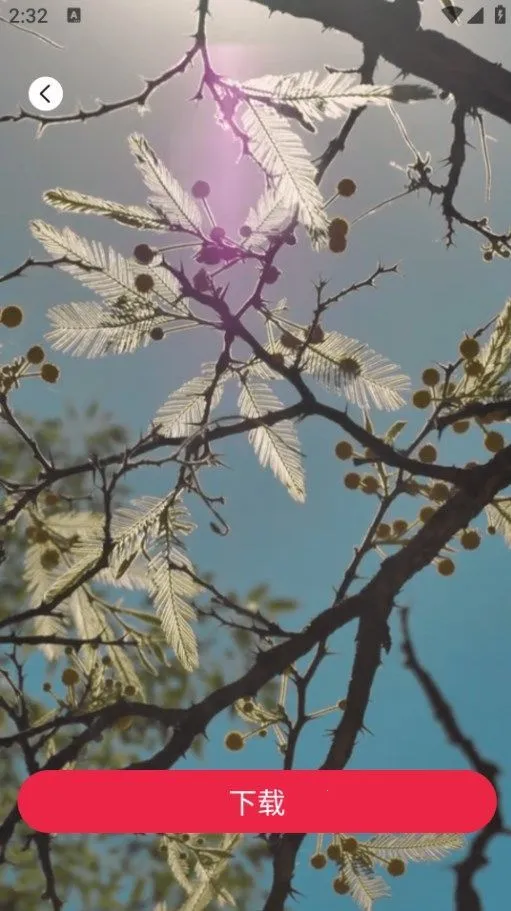 tibni��׿v1.0.0 ��׿��