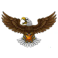 ��ӥTV(Ӱ��׷��ƽ̨)v8.7 �ֻ���