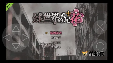 ��������β��2026���°汾v1.0.6 �ֻ���