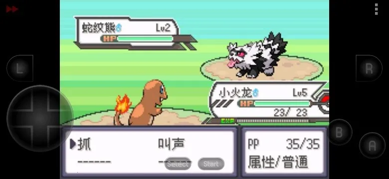 �ڴ�����Ů���������ֻ���v2022.08.11.16 ��׿��