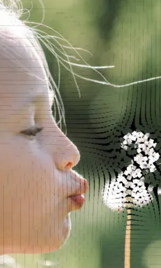 ��������ģ�ⰲװ��(����ģ�ⴴ����Ϸ)v0.981 ��׿��