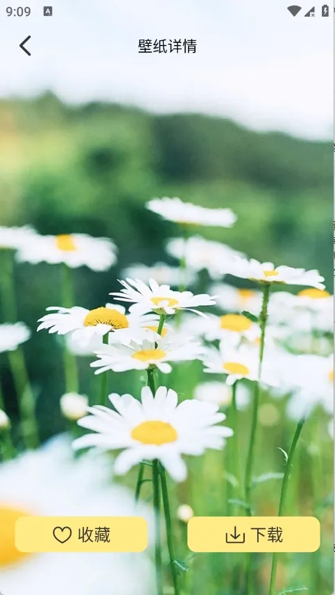 �Ⱦޱ�ֽ(��ֽ���Ի�����)v1.1 ��׿��