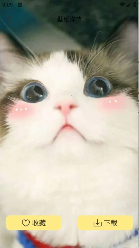 �Ⱦޱ�ֽ(��ֽ���Ի�����)v1.1 ��׿��