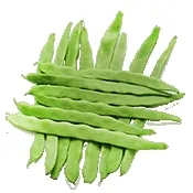 С�˶�2026���°汾v4.1 ��Ѱ�