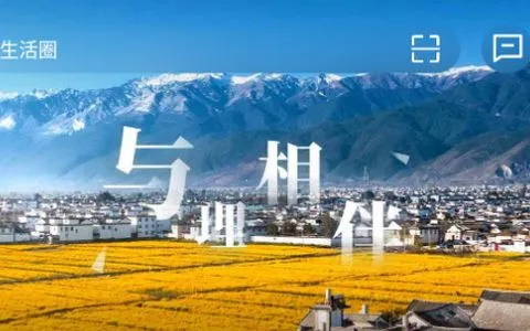 ����app��׿���ֻ���