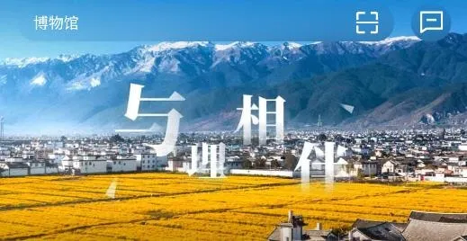 ����app��׿���ֻ���