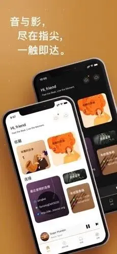 HiFier音乐软件(音乐播放工具) HiFier音乐软件(音乐播放工具)
