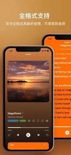 HiFier��������(���ֲ��Ź���)v1.0 �ֻ���