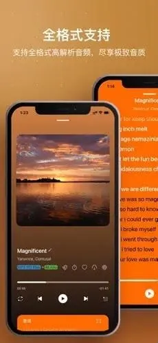 HiFier音乐软件(音乐播放工具) HiFier音乐软件(音乐播放工具)
