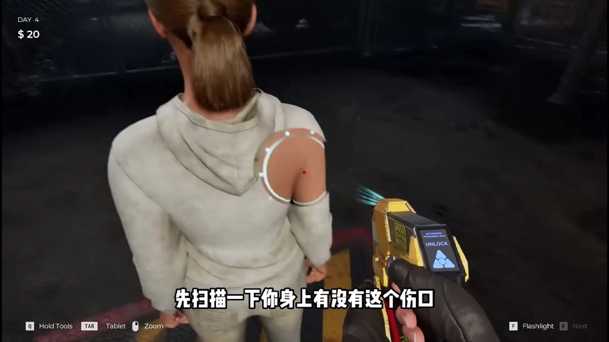 ɥʬ�߾���������