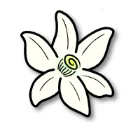 �Ȼ�ģ���������ֻ���v2123.3 ��׿��