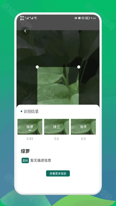 小园丁追剧app免费下载正版 小园丁追剧app免费下载正版