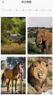 英语分级兔2026下载安装 英语分级兔2026下载安装