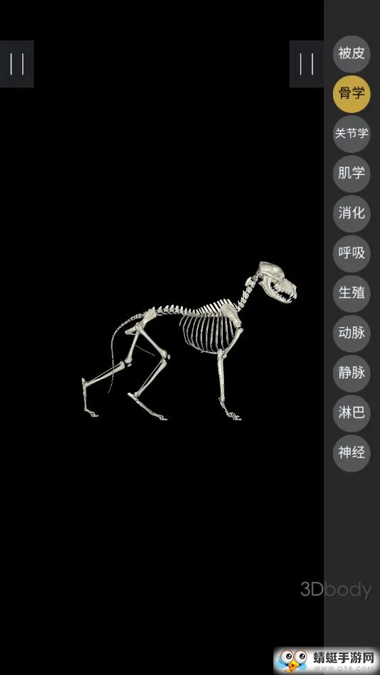 3dbody��������v8.8.72 ��׿��