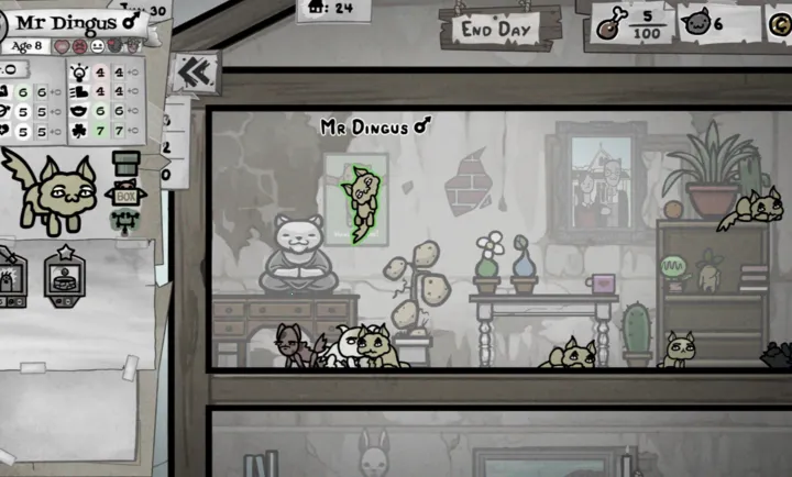 �����Ľ�ϣ�����PC���԰�2026���°汾v1.0 �ֻ���