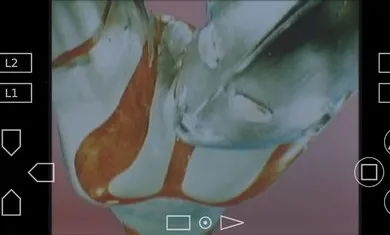 ��������������(����������Ϸ)v1.0.0 �ֻ���