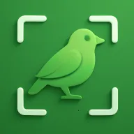 ʶ��2026�ٷ�����v1.1.0 ��Ѱ�