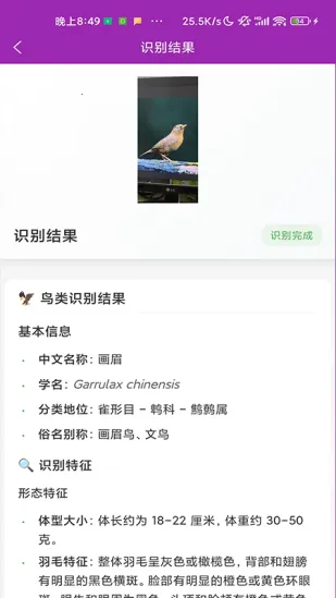 ʶ��2026�ٷ�����v1.1.0 ��Ѱ�