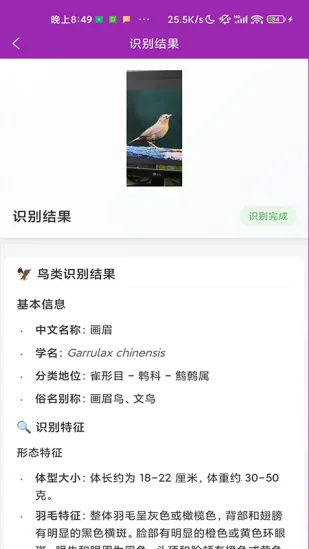 ʶ��2026�ٷ�����v1.1.0 ��Ѱ�