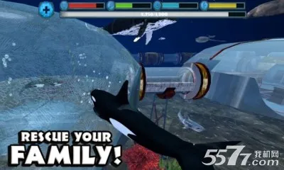 虎鲸模拟器(海洋生存游戏) 虎鲸模拟器(海洋生存游戏)