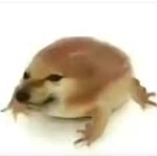 �ҵĵ���(�������Ӧ��)v1.0 �ֻ���