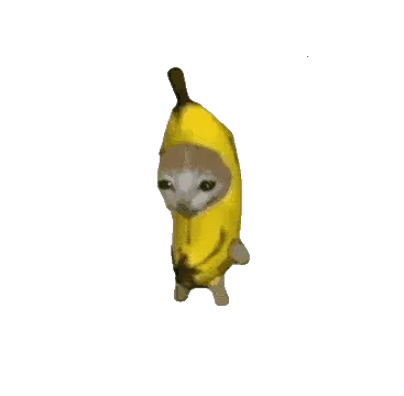 �ȱ�����2026���°汾v1.0 �ֻ���