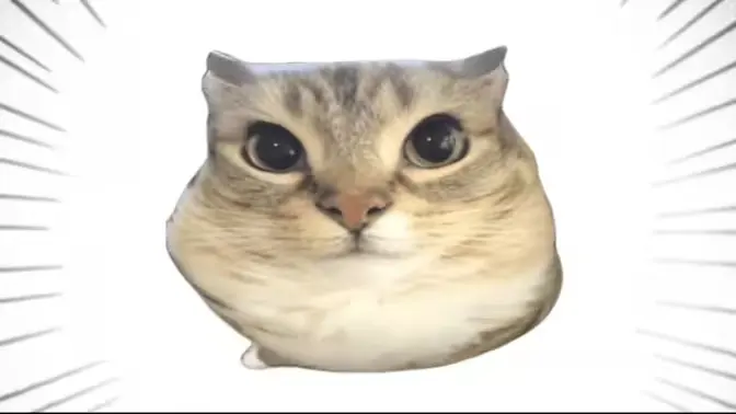 �ͰͲ�һ2026�ٷ����°汾v1.0 ��׿��