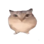 �ͰͲ�һ2026�ٷ����°汾v1.0 ��׿��