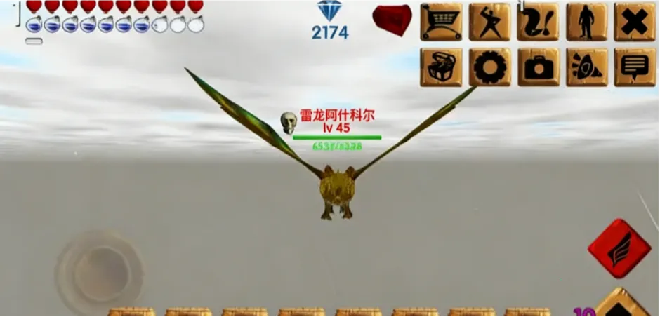 ������Ĺ���������ʯ