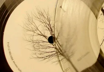 全民音乐播放器2026最新版本 全民音乐播放器2026最新版本