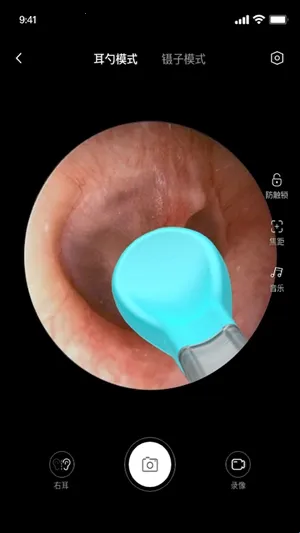 bebird�ɶ�2026���ذ�װ