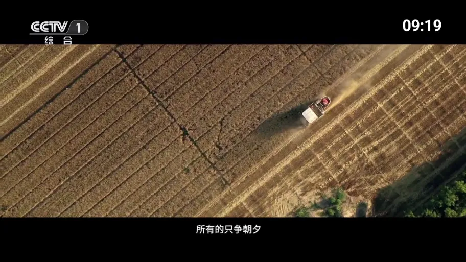 �ҵĵ���tv��